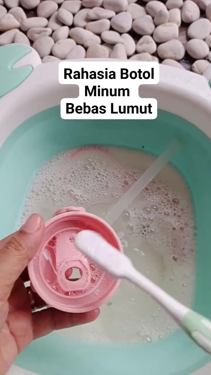 Punya botol minum tapi berlumut? Jangan dibuang! ini cara efektif membersihkannya agar kesat