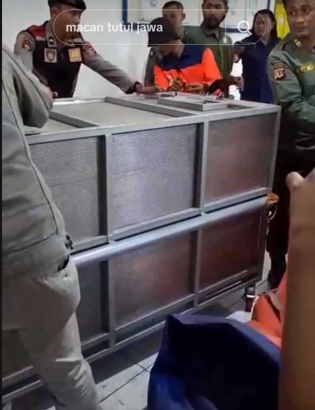 Heboh macan tutul masuk balai desa Kuningan, diduga tersesat cari makan, ini 7 fakta di baliknya