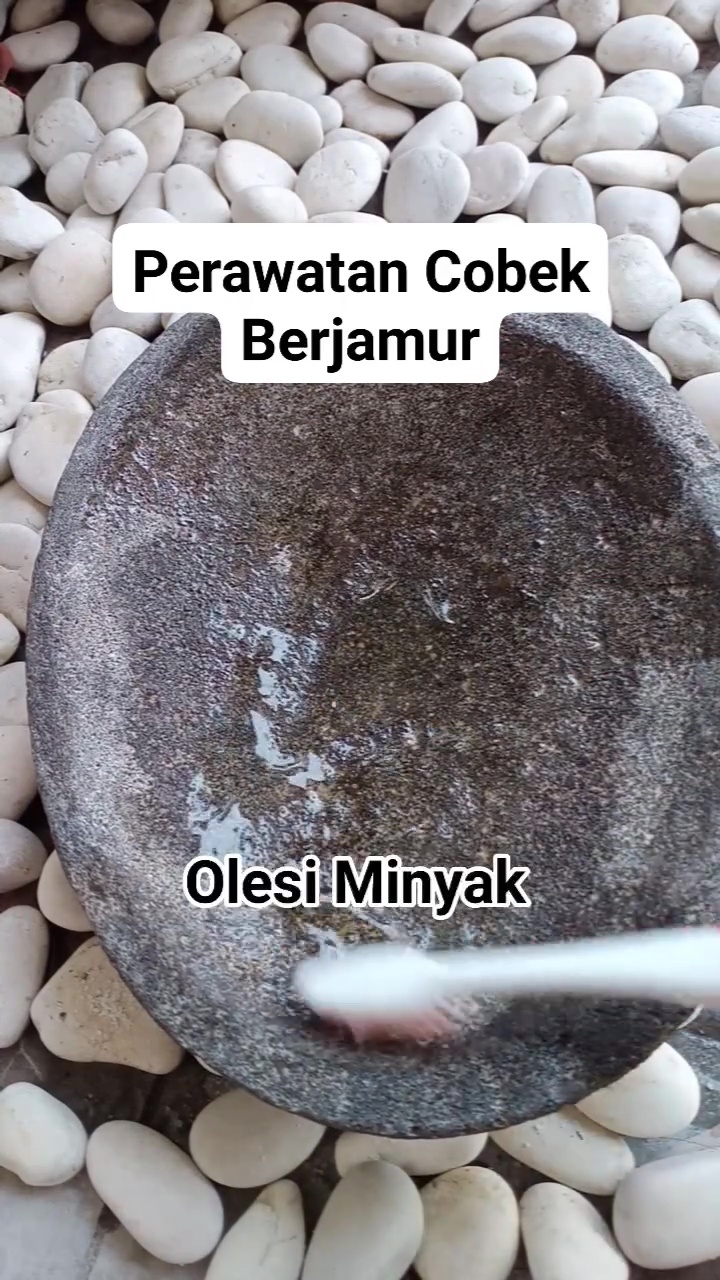 Jangan tunggu sampai berjamur! Rawat cobek dengan 3 tahap praktis ini agar selalu steril dipakai