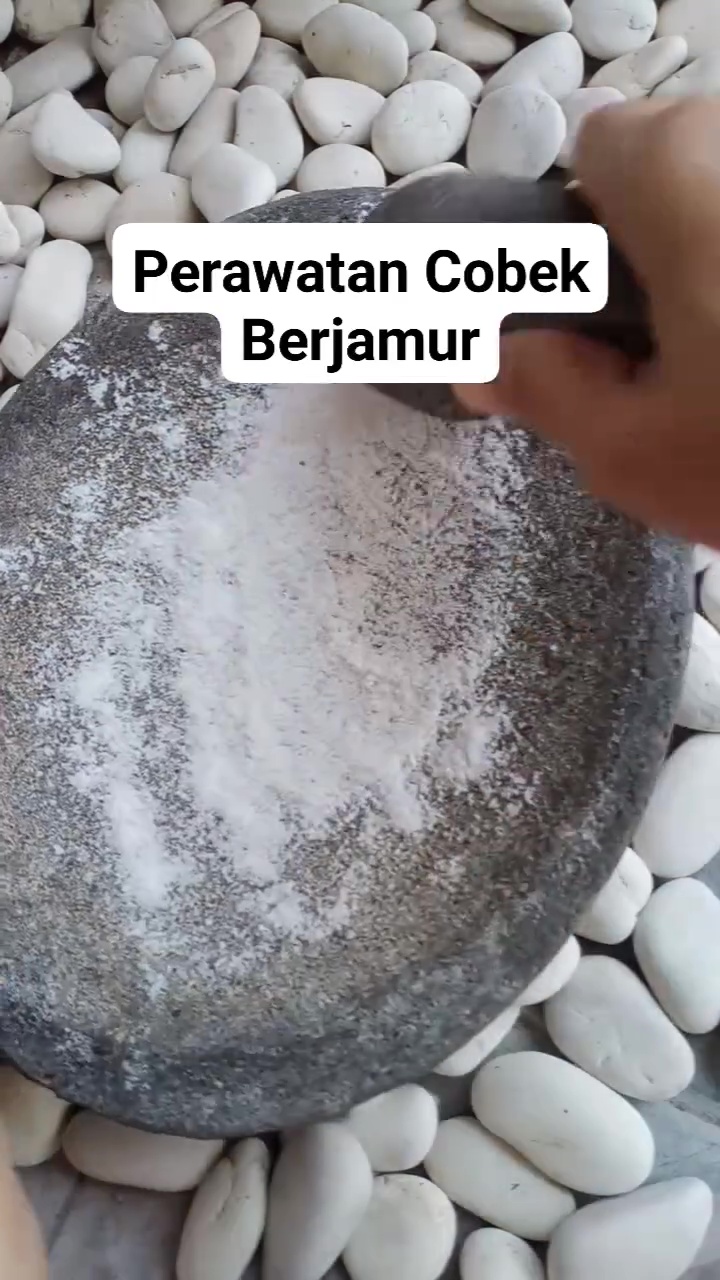 Jangan tunggu sampai berjamur! Rawat cobek dengan 3 tahap praktis ini agar selalu steril dipakai