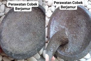 Jangan tunggu sampai berjamur! Rawat cobek dengan 3 tahap praktis ini agar selalu steril dipakai