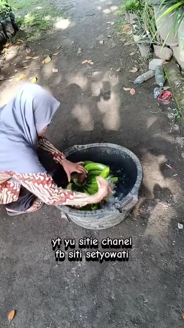 Cara mudah mematangkan pisang tanpa karbit, dijamin antibusuk dan rasanya manis dalam 4 hari