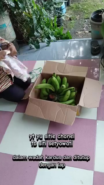 Cara mudah mematangkan pisang tanpa karbit, dijamin antibusuk dan rasanya manis dalam 4 hari