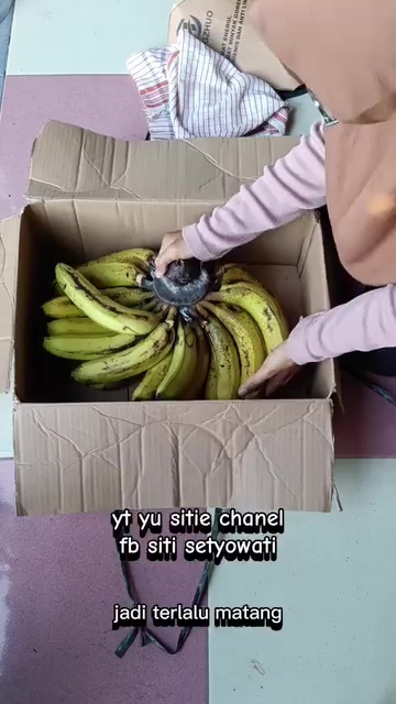 Cara mudah mematangkan pisang tanpa karbit, dijamin antibusuk dan rasanya manis dalam 4 hari