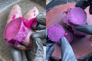 Ingin mengukus makanan tapi tak punya panci kukusan? Tenang! Gunakan trik ini biar matang tanpa gosong