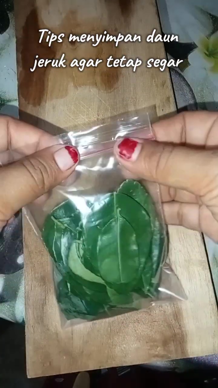 Simpan daun jeruk terlalu lama malah kering atau busuk? Pakai cara ini agar tetap hijau hingga 1 bulan
