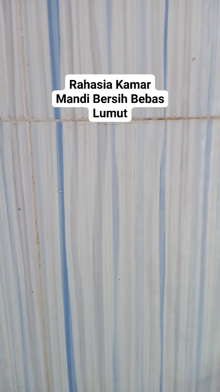 Bersihkan keramik kamar mandi berkerak dan berlumut bukan lagi hal sulit jika pakai 2 bahan dapur ini