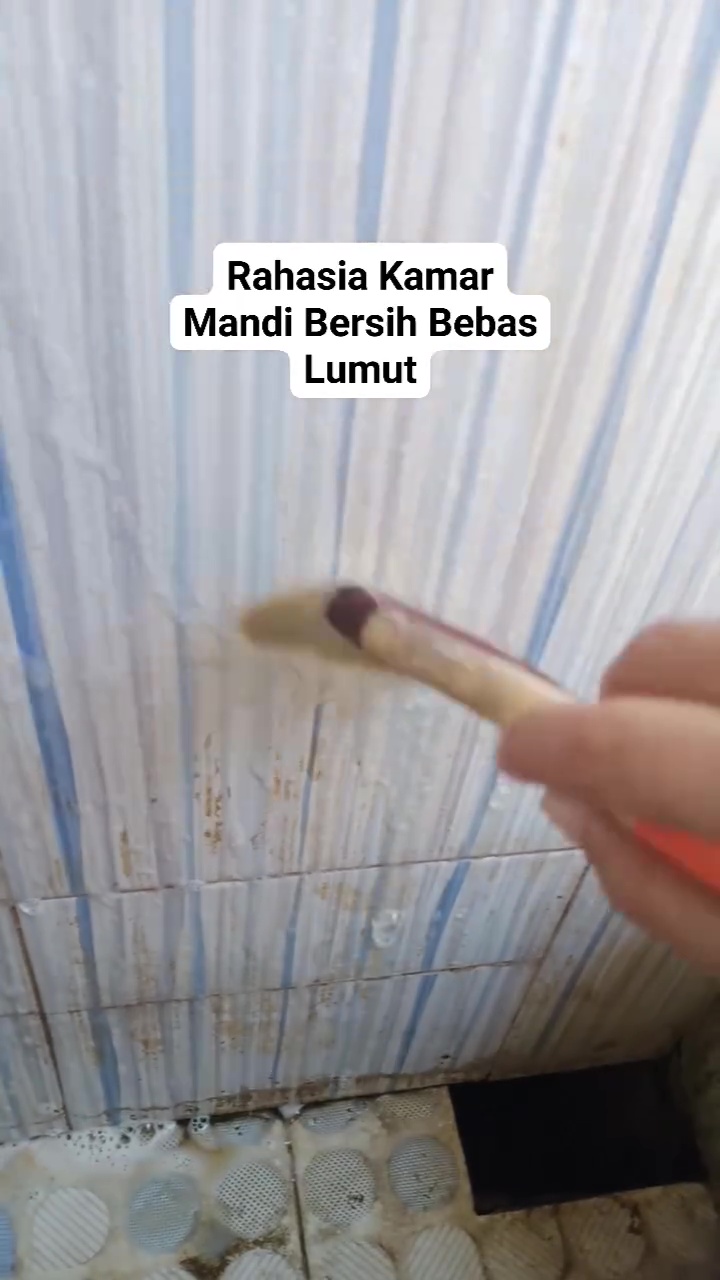 Bersihkan keramik kamar mandi berkerak dan berlumut bukan lagi hal sulit jika pakai 2 bahan dapur ini