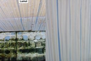 Bersihkan keramik kamar mandi berkerak dan berlumut bukan lagi hal sulit jika pakai 2 bahan dapur ini