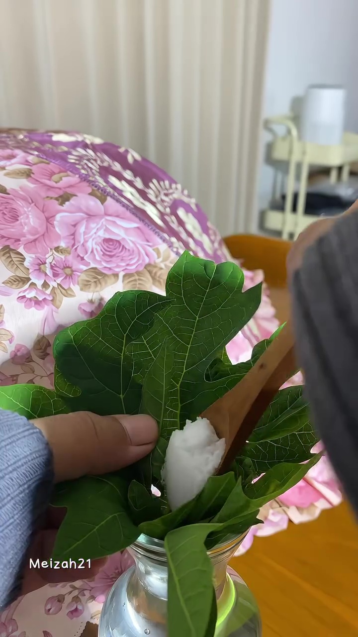 Solusi ampuh usir lalat di meja makan agar santapan terhindari dari kuman, praktis modal 1 jenis daun