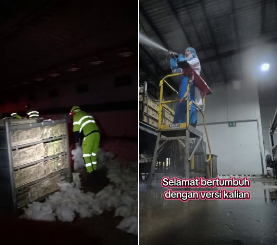 Pria lulusan S2 ini pilih resign kerja di Tanah Air demi jadi kuli di Australia, alasannya bikin salut