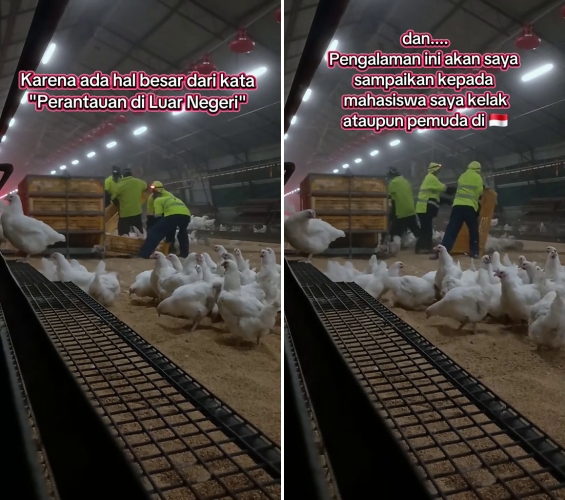 Pria lulusan S2 ini pilih resign kerja di Tanah Air demi jadi kuli di Australia, alasannya bikin salut