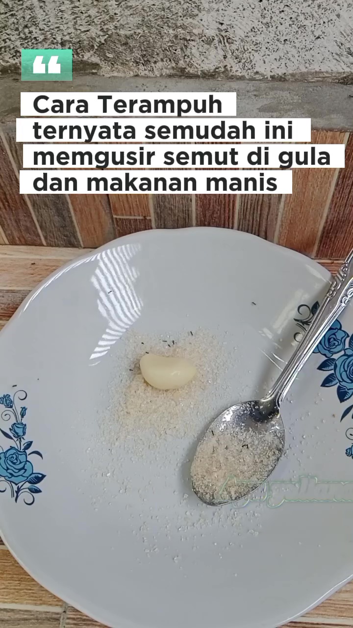 Punya gula yang dikerumuni semut? Jangan dibuang! Beri 1 rempah ini agar bersih lagi dan layak pakai