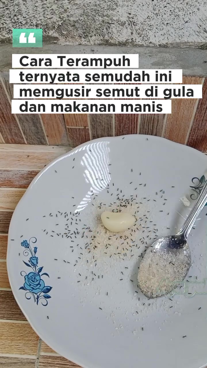Punya gula yang dikerumuni semut? Jangan dibuang! Beri 1 rempah ini agar bersih lagi dan layak pakai