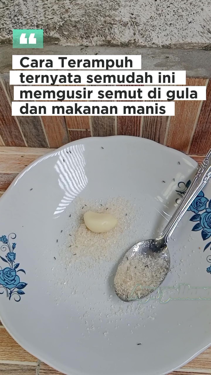 Punya gula yang dikerumuni semut? Jangan dibuang! Beri 1 rempah ini agar bersih lagi dan layak pakai