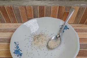 Punya gula yang dikerumuni semut? Jangan dibuang! Beri 1 rempah ini agar bersih lagi dan layak pakai