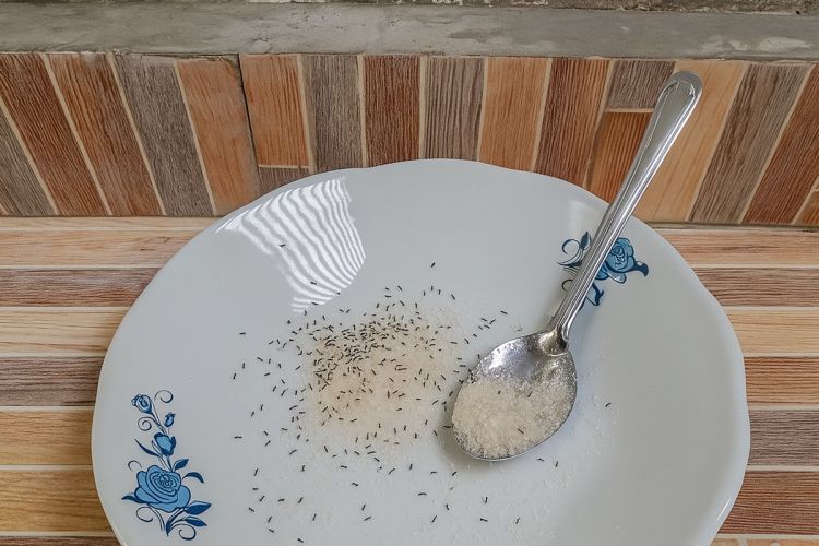Punya gula yang dikerumuni semut? Jangan dibuang! Beri 1 rempah ini agar bersih lagi dan layak pakai