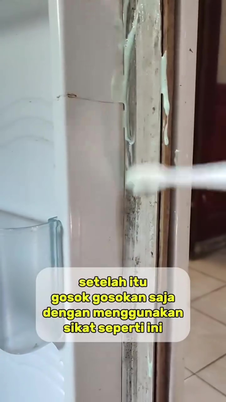 Trik bersihkan karet pintu kulkas kotor dan berjamur tanpa dibongkar, cukup pakai 2 bahan rumahan ini