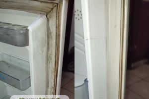 Trik bersihkan karet pintu kulkas kotor dan berjamur tanpa dibongkar, cukup pakai 2 bahan rumahan ini