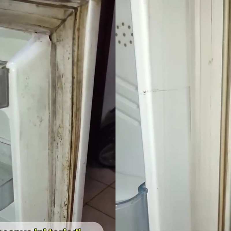 Trik bersihkan karet pintu kulkas kotor dan berjamur tanpa dibongkar, cukup pakai 2 bahan rumahan ini