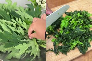 Tak perlu repot cari tanah liat, daun pepaya dijamin nggak pahit rasanya jika direbus dengan cara ini
