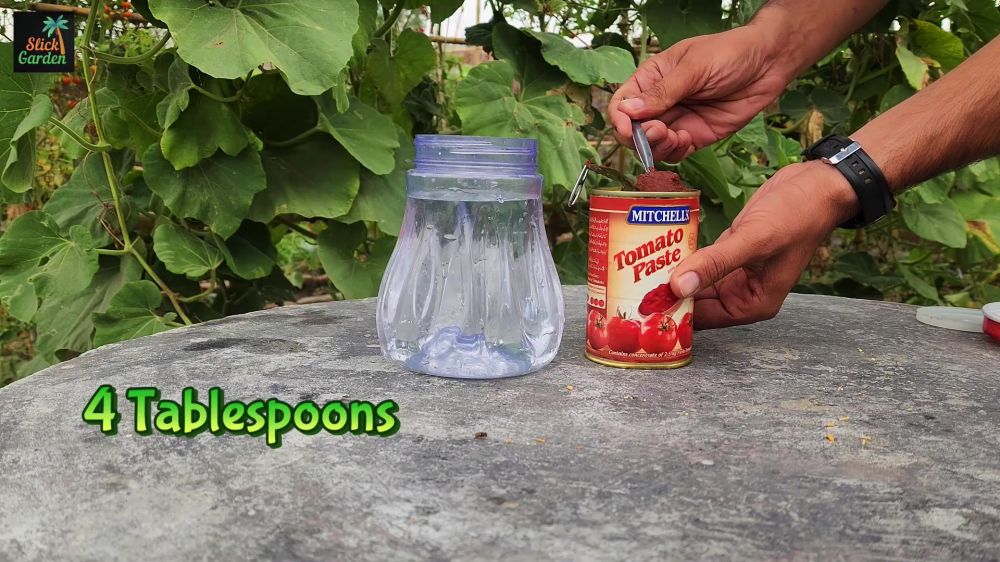 Tanpa pupuk mahal, ini cara bikin tanaman tomat berbuah lebat pakai kompos dan tambahan 1 bahan dapur