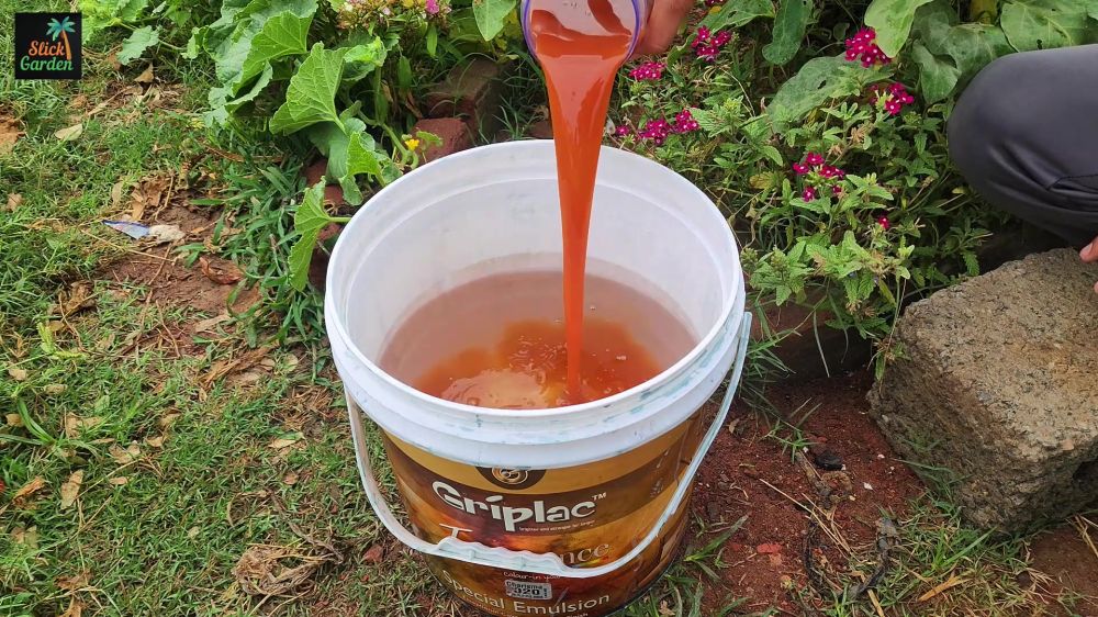 Tanpa pupuk mahal, ini cara bikin tanaman tomat berbuah lebat pakai kompos dan tambahan 1 bahan dapur
