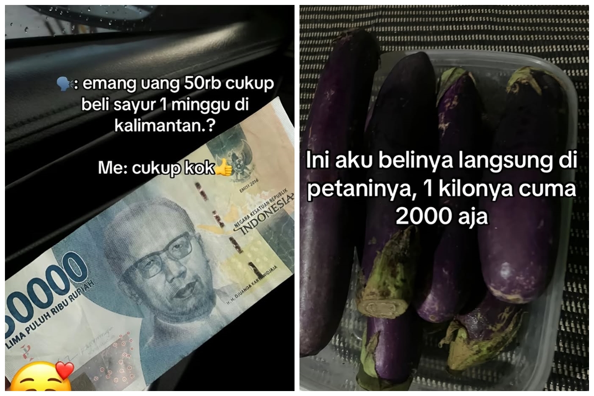 Bikin heran, wanita ini habiskan Rp50 ribu untuk belanja mingguan di Kalimantan, ini caranya bisa irit