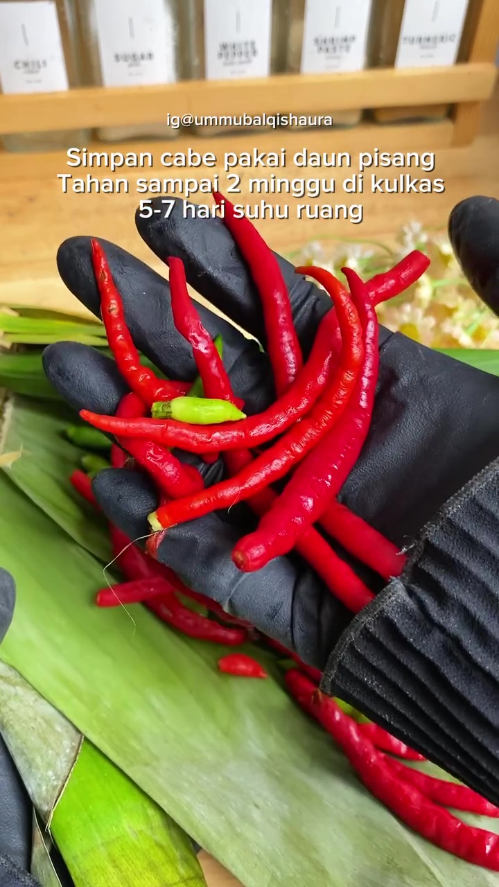 Dijamin antibusuk tanpa kulkas, ini trik simpan cabai agar awet segar dan tak layu hingga 1 minggu