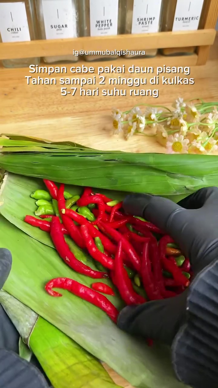 Dijamin antibusuk tanpa kulkas, ini trik simpan cabai agar awet segar dan tak layu hingga 1 minggu