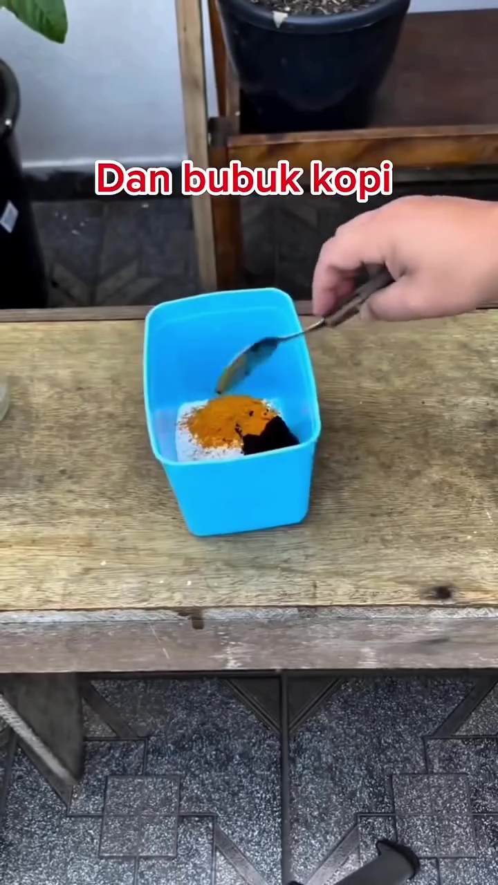 Jangan asal, begini cara pakai cangkang telur untuk pupuk tanaman seledri biar tak undang hama tikus