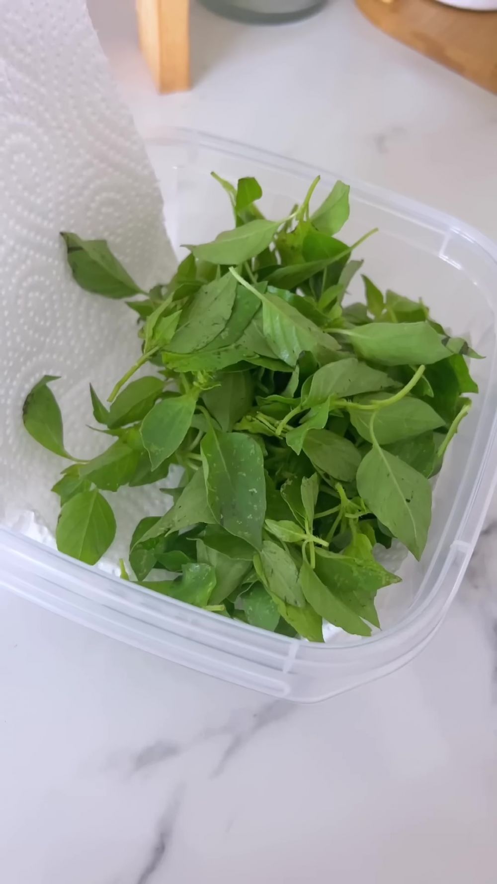 Bukan direndam air, ini cara simpan daun kemangi antilayu dan tetap hijau hingga 1 minggu