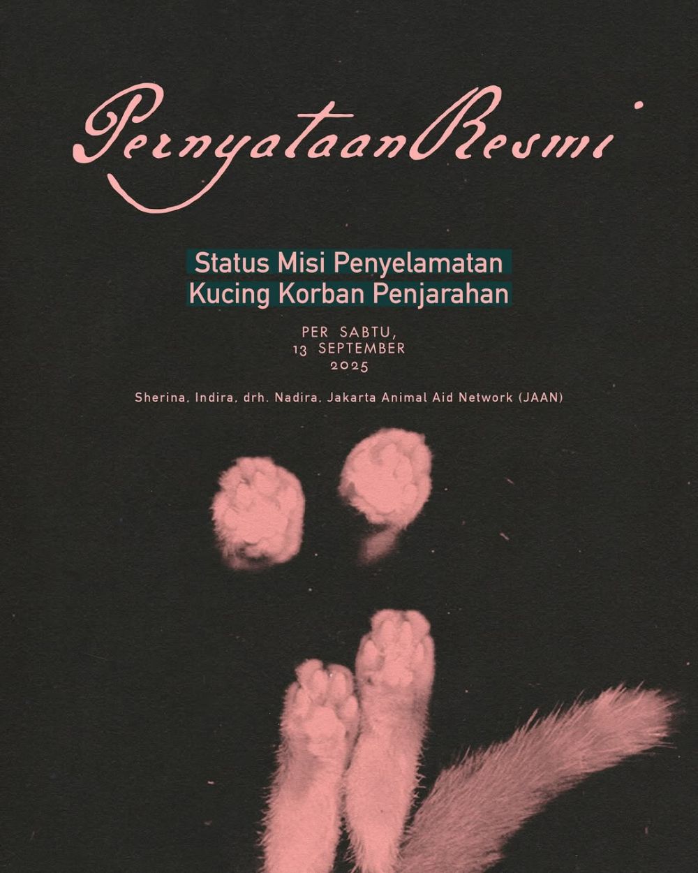 7 Kronologi Sherina Munaf menyelamatkan lima kucing Uya Kuya, sebut sudah dapat izin dari Cinta Kuya