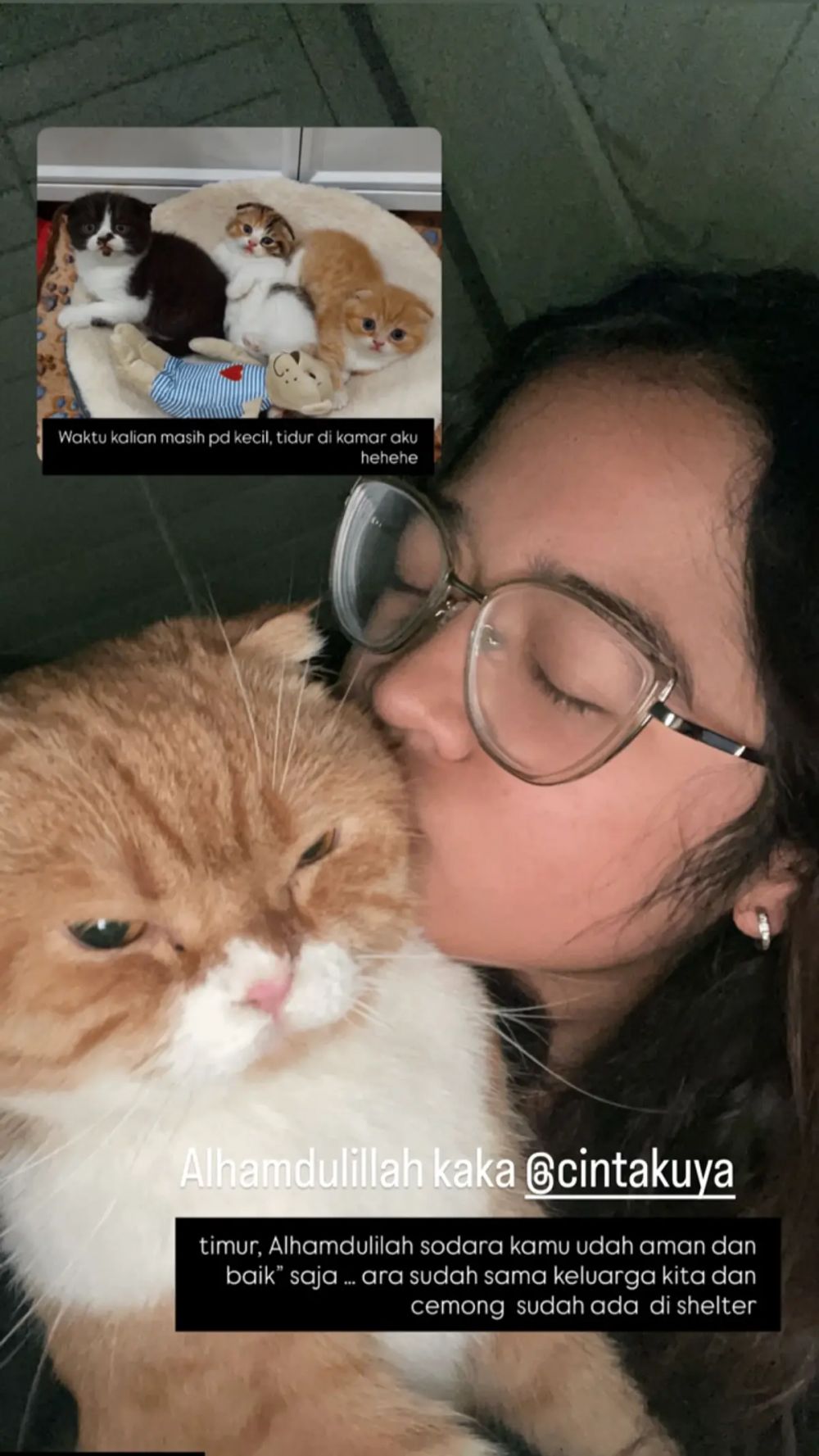 7 Kronologi Sherina Munaf menyelamatkan lima kucing Uya Kuya, sebut sudah dapat izin dari Cinta Kuya