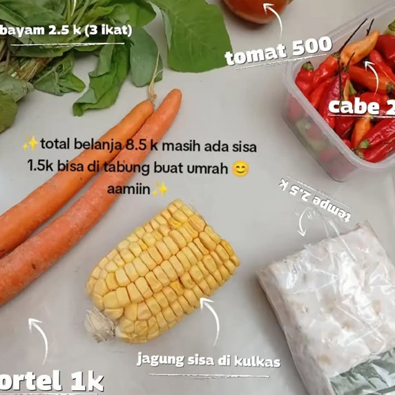 Irit pol, warganet ini bagikan modal Rp8.500 bisa dapat menu makan harian lengkap dengan protein