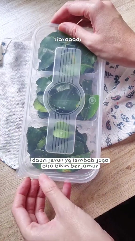 Nggak perlu plastik, ini rahasia daun jeruk awet berminggu-minggu tanpa layu dan tetap beraroma segar