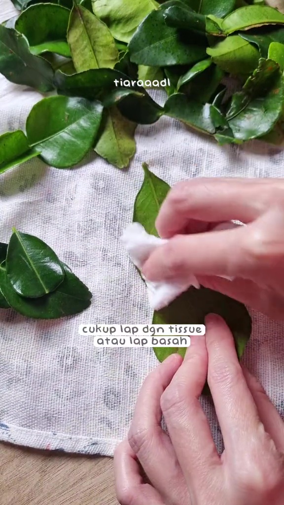 Nggak perlu plastik, ini rahasia daun jeruk awet berminggu-minggu tanpa layu dan tetap beraroma segar