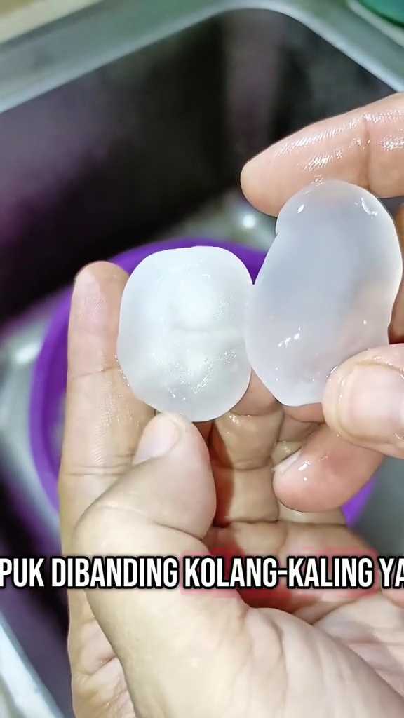 Tak perlu dimasak 2 kali, coba cara mengolah kolang-kaling ini biar tak asam dan awet berbulan-bulan