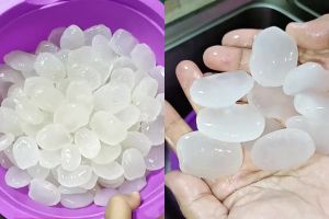 Tak perlu dimasak 2 kali, coba cara mengolah kolang-kaling ini biar tak asam dan awet berbulan-bulan