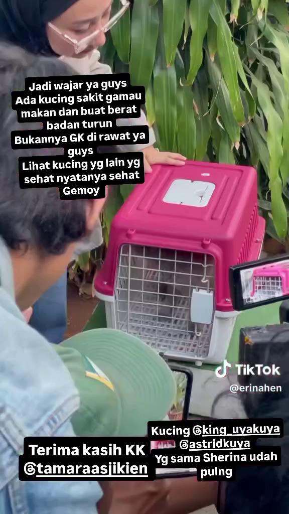 Mediasi 12 jam berujung damai, ini 9 potret Sherina akhirnya kembalikan 5 kucing Uya Kuya