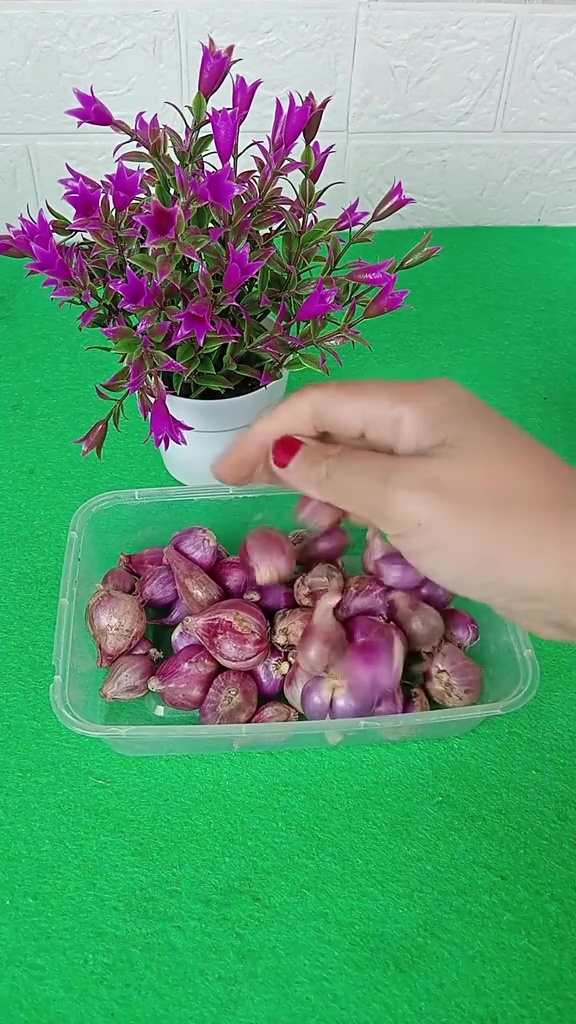 Bawang merah cepat busuk dan berlendir saat disimpan di kulkas? Taburkan 1 minuman ini biar lebih awet