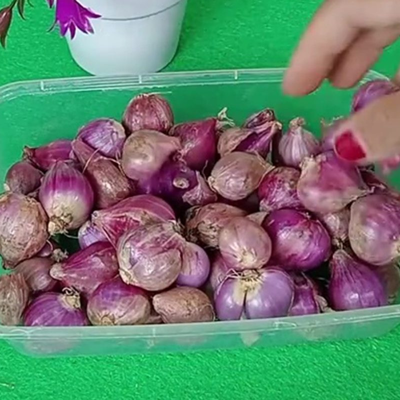 Bawang merah cepat busuk dan berlendir saat disimpan di kulkas? Taburkan 1 minuman ini biar lebih awet