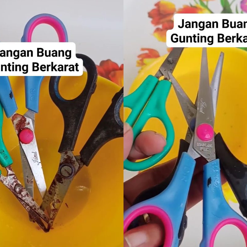 Cuma butuh 1 bahan pembersih ini, gunting lama berkarat bisa kinclong dan tajam lagi dalam 15 menit