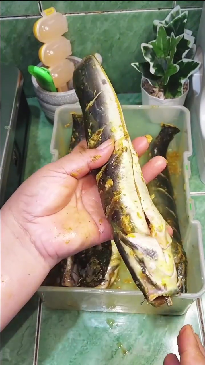 Bukan dibaluri tepung, wanita ini bagikan trik antigagal goreng ikan lele agar hasilnya lurus