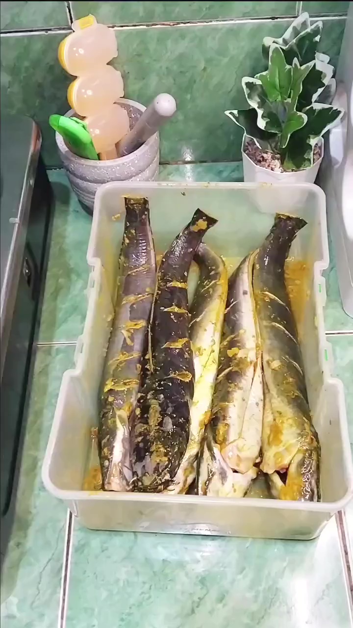 Bukan dibaluri tepung, wanita ini bagikan trik antigagal goreng ikan lele agar hasilnya lurus
