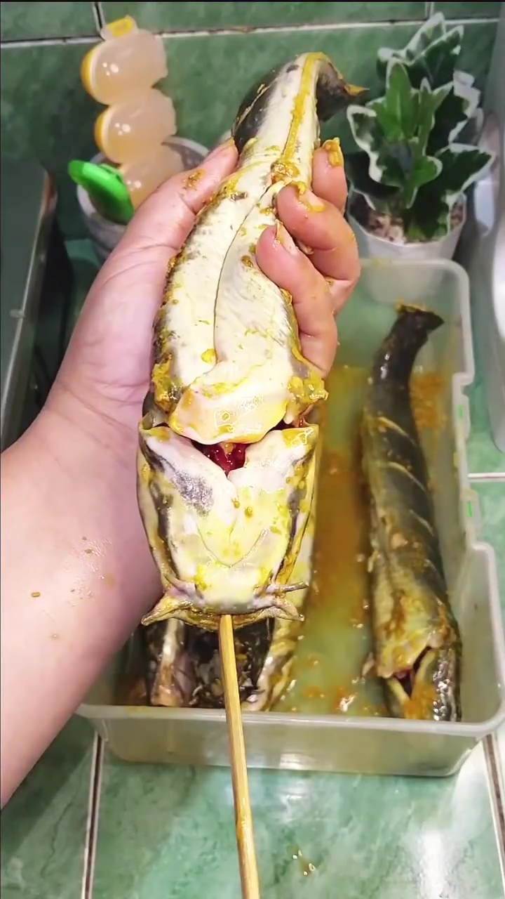 Bukan dibaluri tepung, wanita ini bagikan trik antigagal goreng ikan lele agar hasilnya lurus