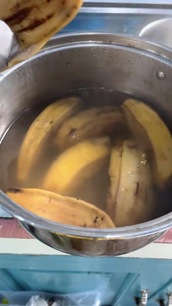 Modal Rp0, ini rahasia membuat pohon jeruk nipis berbuah lebat meski tanpa pupuk mahal