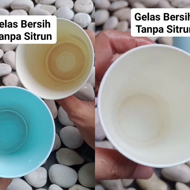 Gelas plastik kusam dan berkerak jangan keburu dibuang! 1 Bahan rumahan ini bisa bikin jadi kinclong