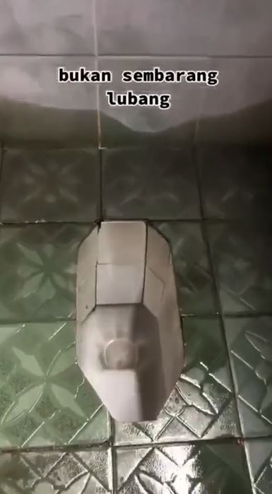 Bukan jongkok atau duduk, desain toilet ‘lesehan’ di kamar mandi ini bikin orang salah paham pas lihat