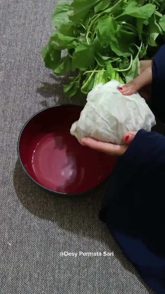 Ternyata sayur bayam bisa antilayu hingga seminggu, pakai cara ini lebih praktis tanpa direndam air